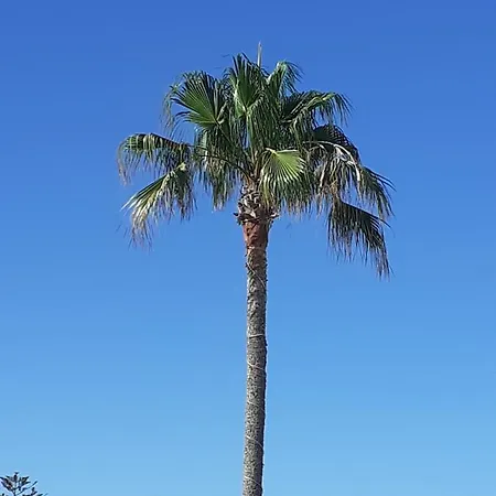 Casa Blanca * Arrecife (Lanzarote)